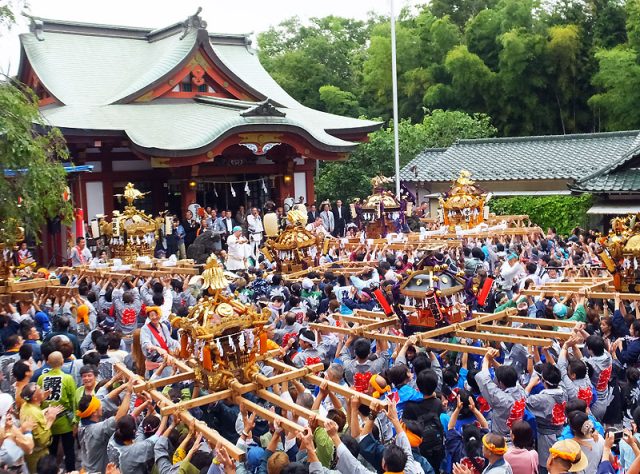 ４年ぶり！綱島諏訪神社例大祭！